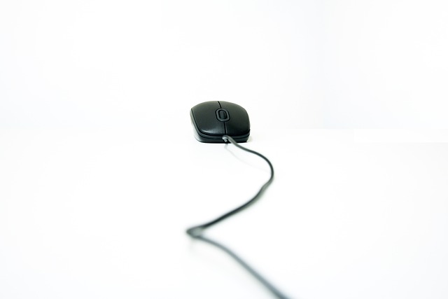 wired mouse